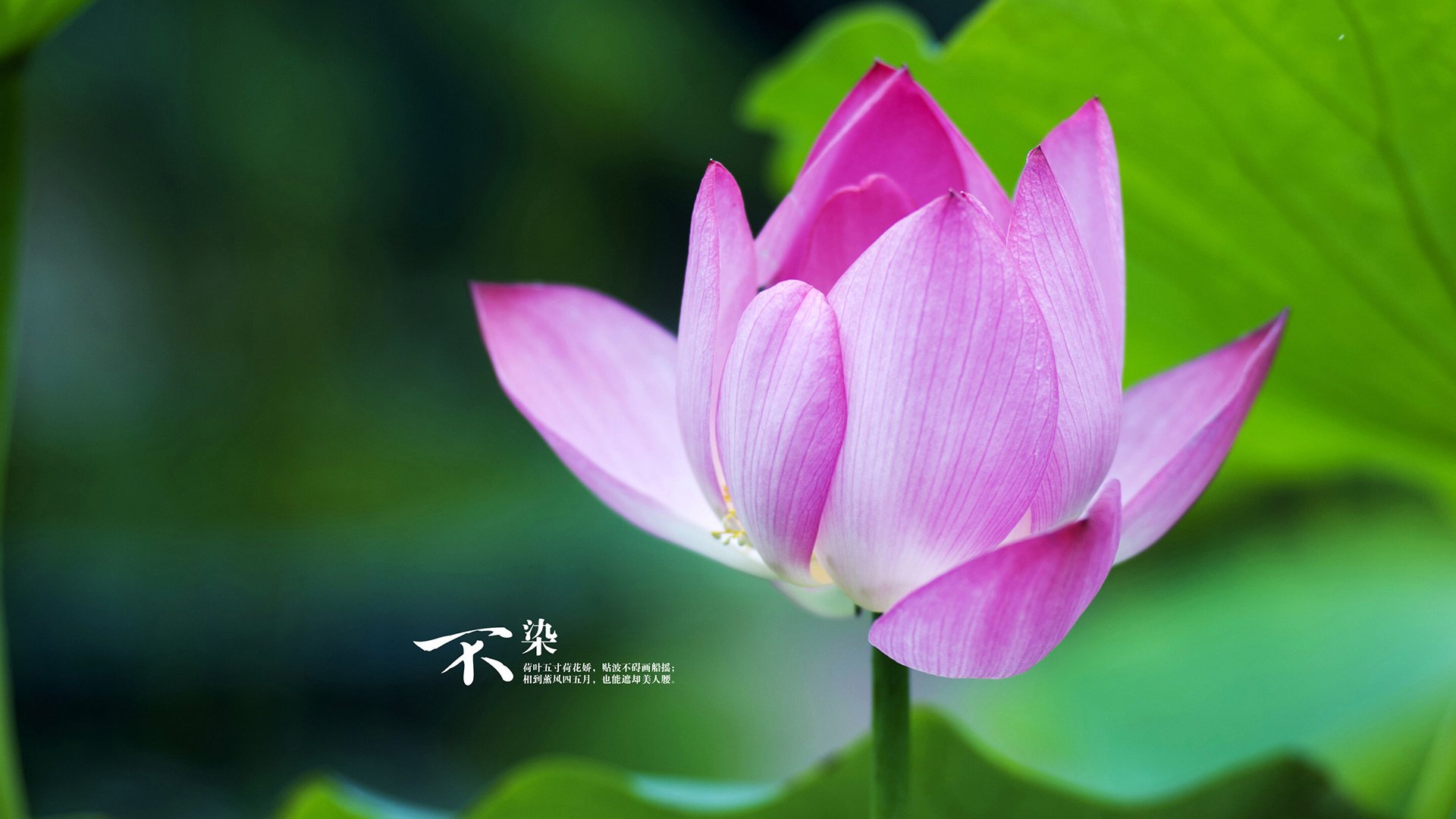 爱游戏在线登录入口-_老鹰快攻犀利,比赛精彩不断_,老鹰秒训